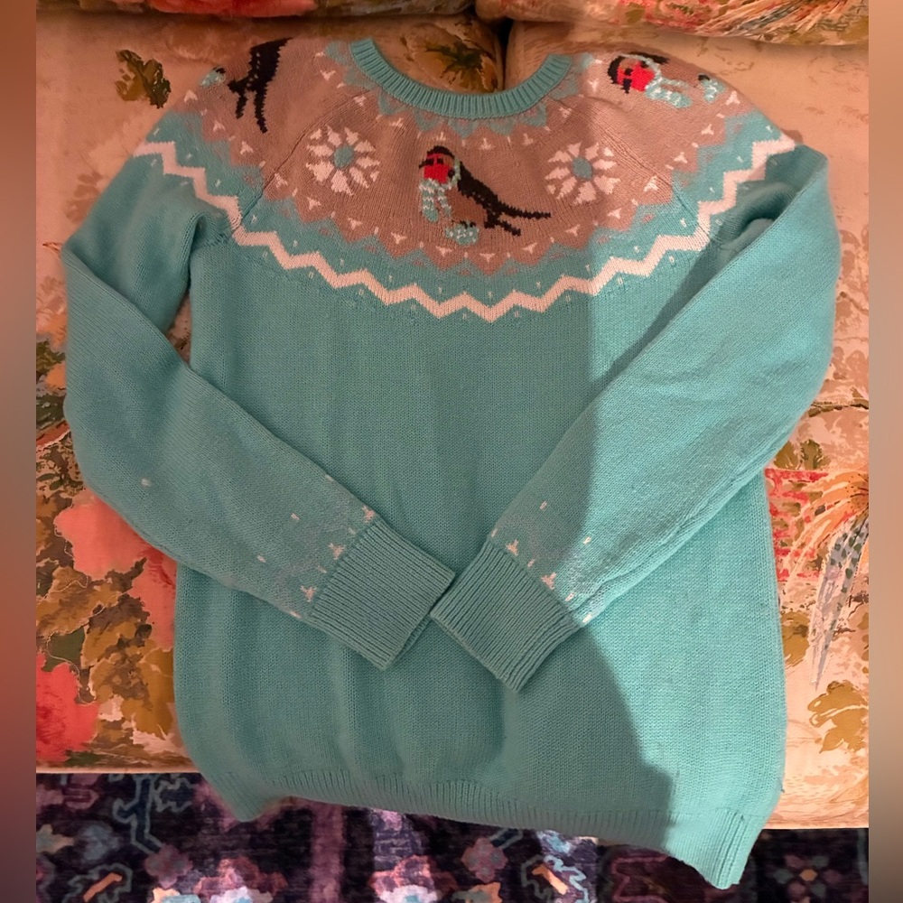 Turquoise Sweater with Bird Design